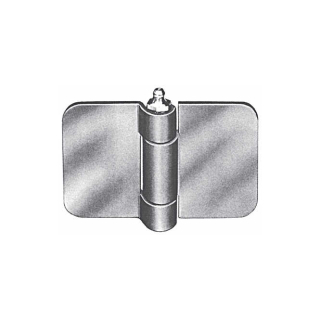 Bisagra para puerta, galvanizada, longitud 50/50 mm